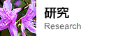 研究