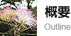 概要